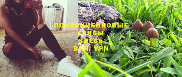 соль курить ск Ельня
