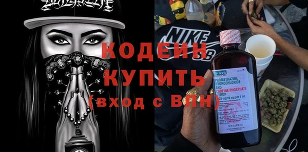 прущий лед Дмитриев